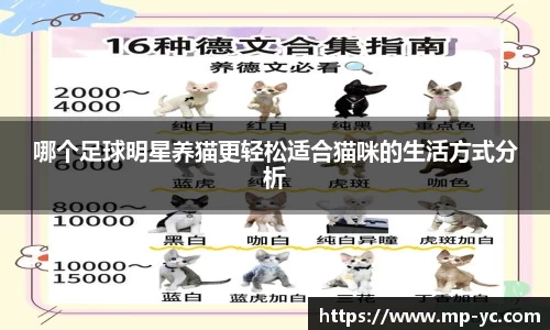 哪个足球明星养猫更轻松适合猫咪的生活方式分析